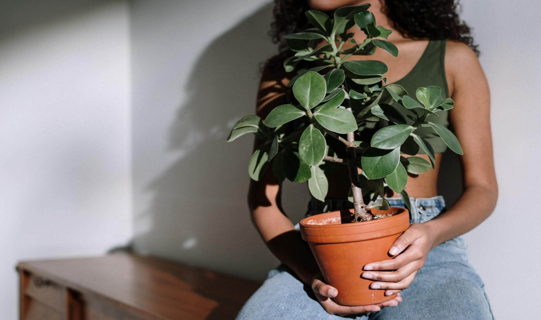 Self-Love: Why Houseplants are the Ultimate Self-Care Activity