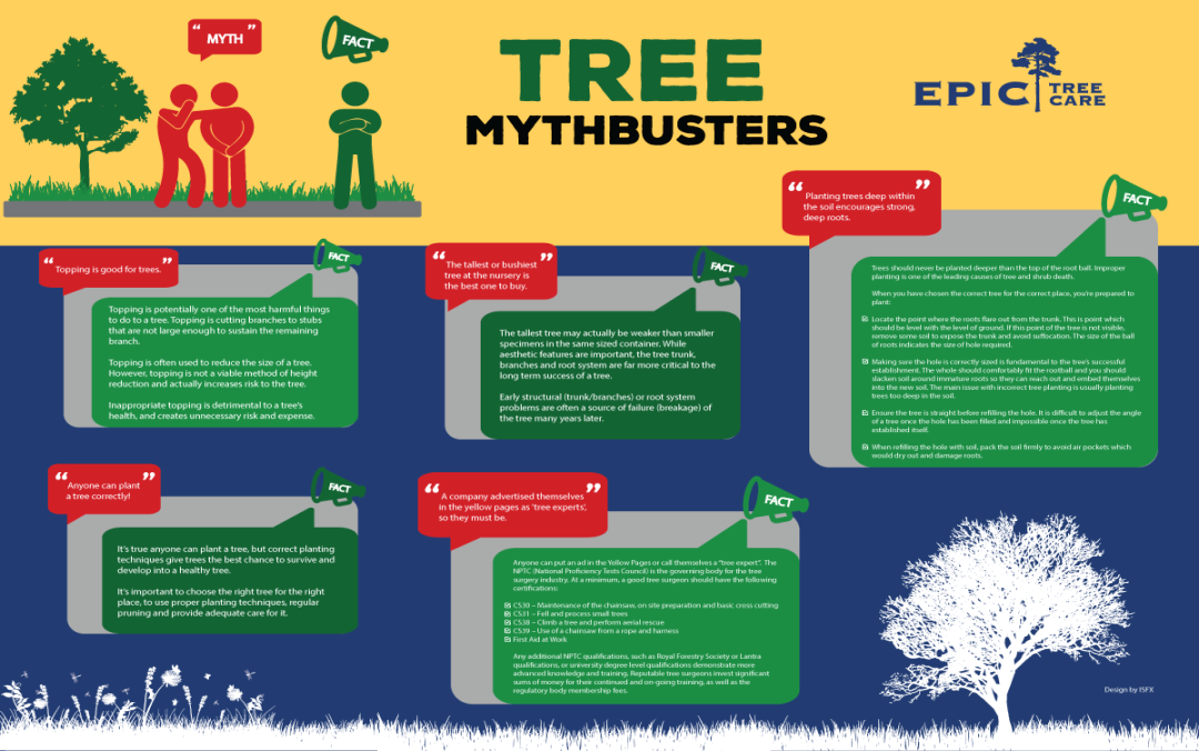Tree Mythbusters infographic