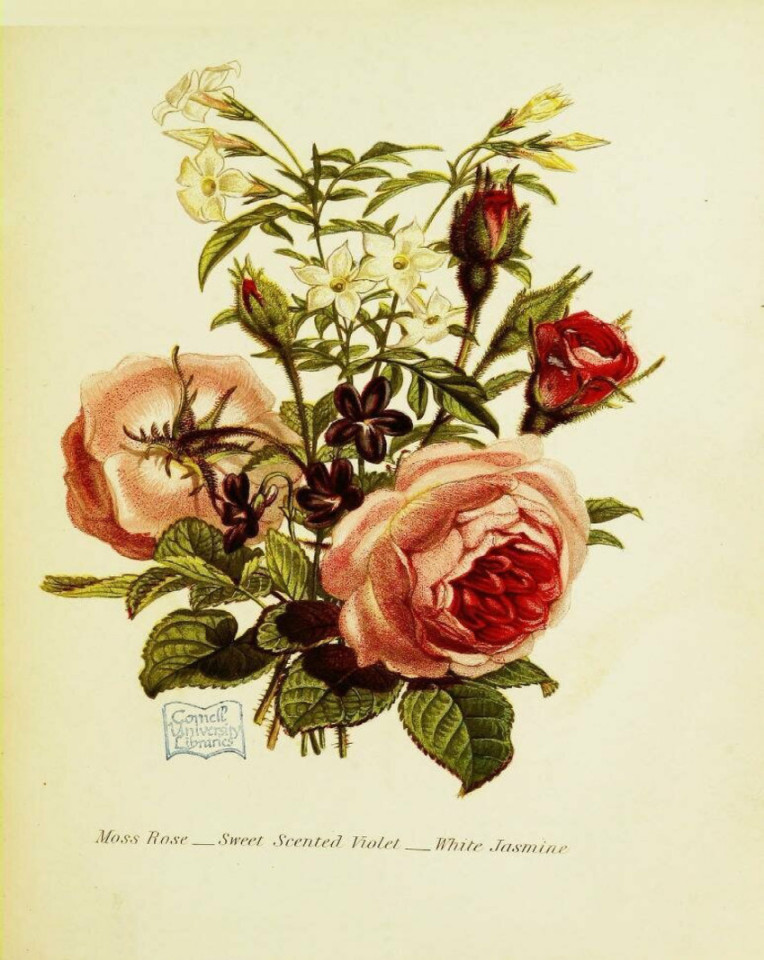 Victorians Used Flowers to Send Secret Messages - Antique Trader